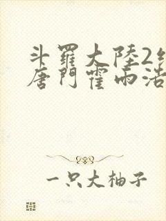 斗罗大陆2绝世唐门霍雨浩小说