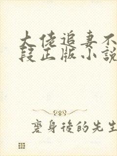 大佬追妻不择手段正版小说