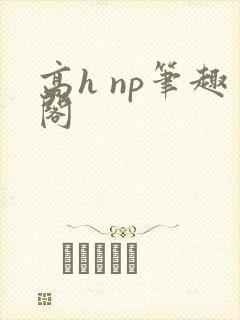 高h np笔趣阁