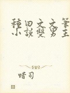 种田文文笔好的小说双男主