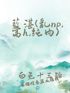 蓝湛(乱np,高h,纯肉)