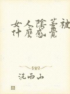 女人阴蒂被舔是什么感觉