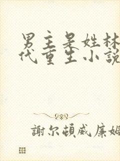 男主是姓林的现代重生小说