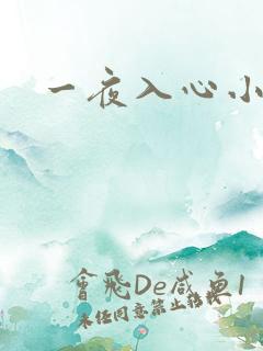 一夜入心小说