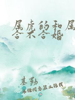 属虎的和属蛇的合不合婚