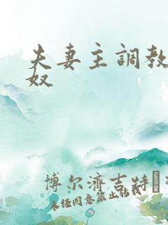 夫妻主调教夫妻奴