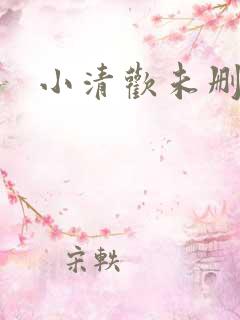 小清欢未删减版