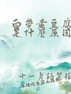 白带黄豆腐渣状是什么原因造成的