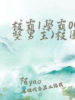 校霸1学霸0(双男主)校园小说