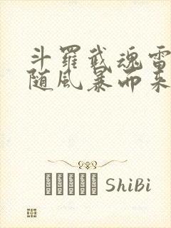 斗罗武魂雷伊我随风暴而来免费阅读全文