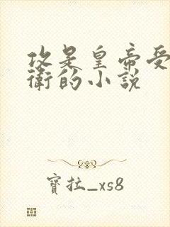 攻是皇帝受是暗卫的小说