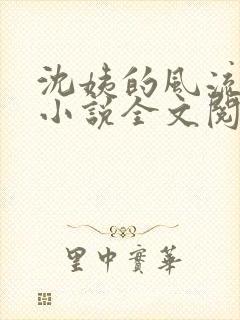 沈姨的风流人生小说全文阅读