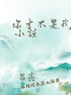 你才不是我哥呢 小说