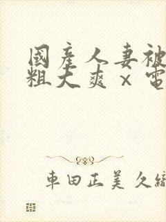 国产人妻被黑人粗大爽ⅹ电影