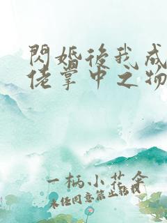 闪婚后我成了大佬掌中之物