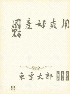 国产好爽用力快点