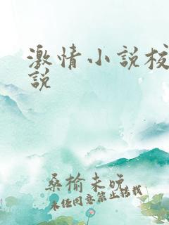 激情小说校园小说