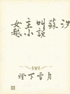 女主叫苏汐的穿越小说