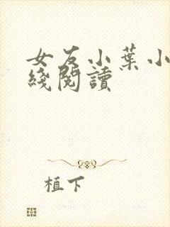 女友小叶小说在线阅读