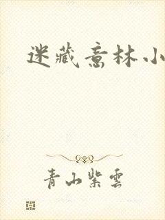 迷藏意林小小姐