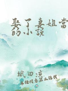 娶了妻姐当老婆的小说