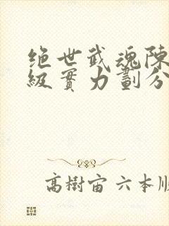 绝世武魂陈枫等级实力划分