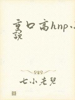 重口高hnp小说