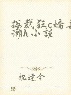 总裁狂c娇妻高潮h小说