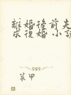 离婚后前夫哭着求复婚 小说全集完整版