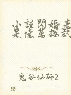 小说闪婚老公竟是亿万总裁