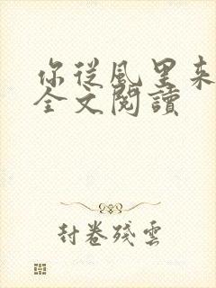 你从风里来免费全文阅读