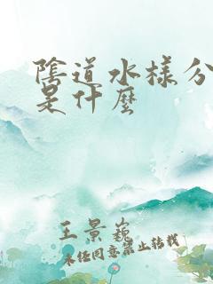 阴道水样分泌物是什么