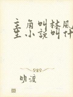 主角叫林风的重生小说叫什么名字