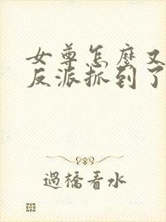 女尊怎么又被女反派抓到了免费阅读小说