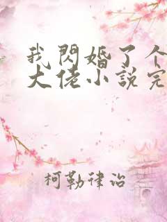 我闪婚了个财阀大佬小说完整版