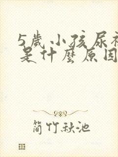 5岁小孩尿裤子是什么原因