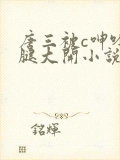 唐三被c呻吟双腿大开小说