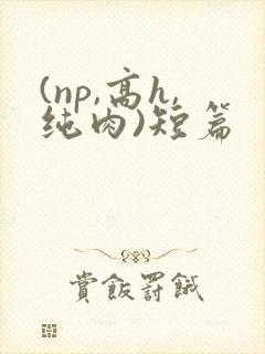 (np,高h,纯肉)短篇