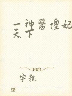 一神医傻妃名动天下