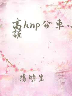 高hnp公车小说