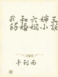 我和六婶三十年的婚姻小说免费阅读