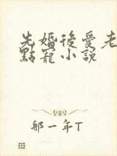 先婚后爱老公轻点宠小说