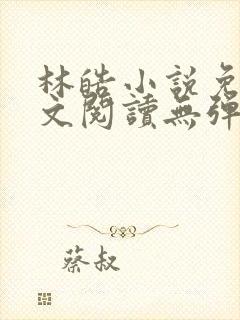 林皓小说免费全文阅读无弹窗
