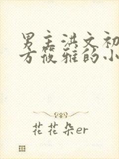 男主洪文初女主方筱雅的小说