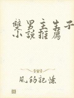 双男主生子甜文小说推荐