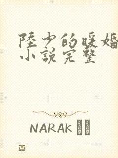 陆少的暖婚新妻小说完整