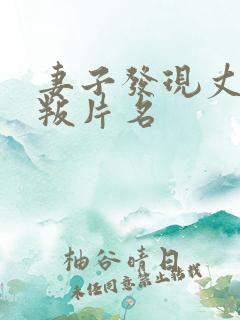 妻子发现丈夫背叛片名