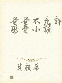 爸爸不允许我谈恋爱小说