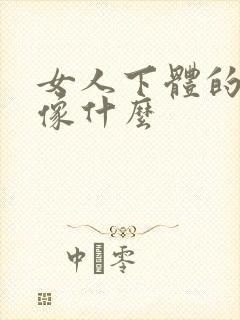 女人下体的味道像什么