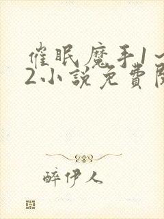 催眠魔手1～12小说免费阅读